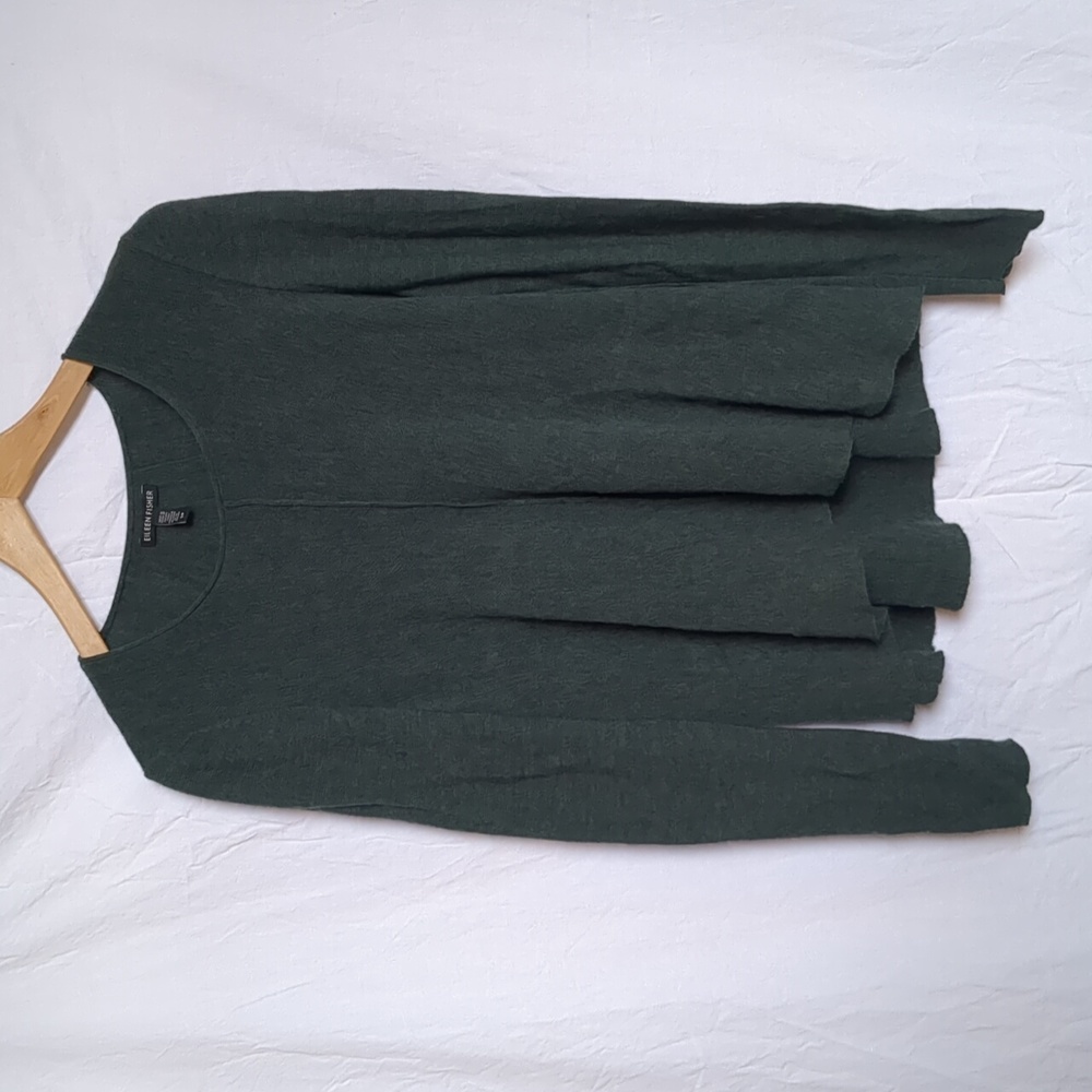 Eileen Fisher sweater long Sleeve green merino small